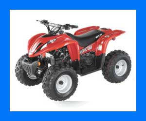 Arctic Cat quads