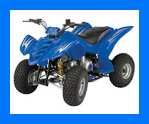 Baja Motorsports quads